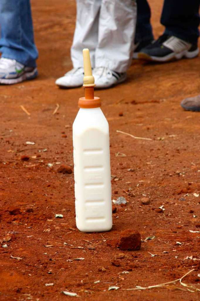Biberón. Orfanato de Elefantes de David Sheldrick en Nairobi (Kenia)