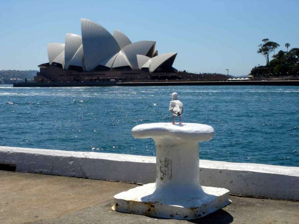 La Ópera de Sidney (Sydney Opera House)
